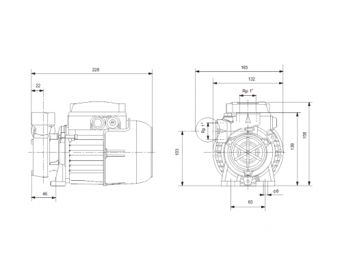 Насос поверхностный вихревой Grundfos PF 1-30 CVBP