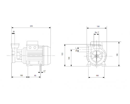 Насос поверхностный вихревой Grundfos PF 2-50 CVBP