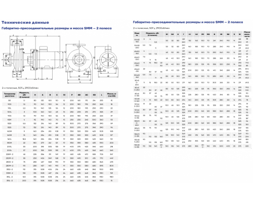 Насос консольно-моноблочный CNP SMM80-50-315-55/2